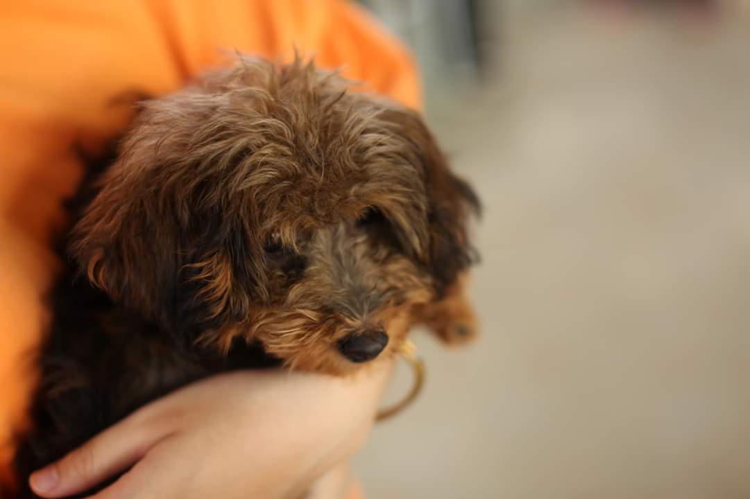 Chương trình Điều ước Thứ 7 - Buôn Ma Thuột